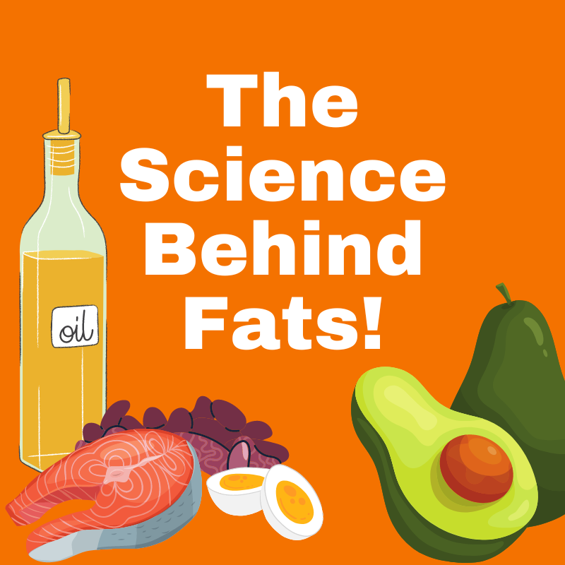 The Science Behind Fat Why This Nutrient Is So Good For You The