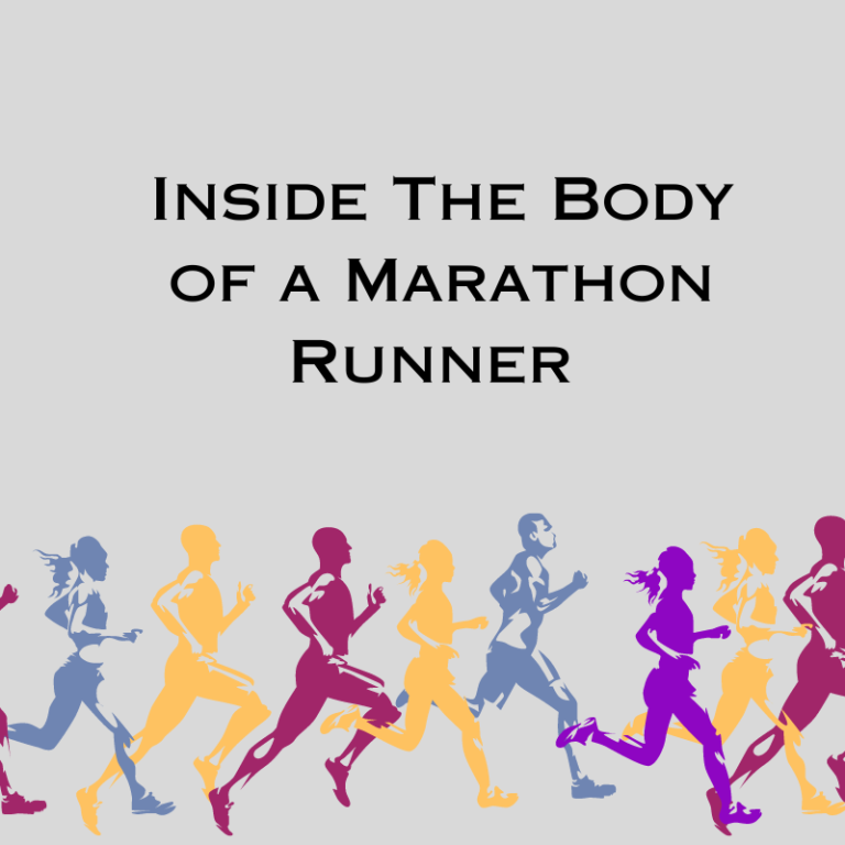 Inside the Body of a Marathon Runner – The Chicago Council on Science